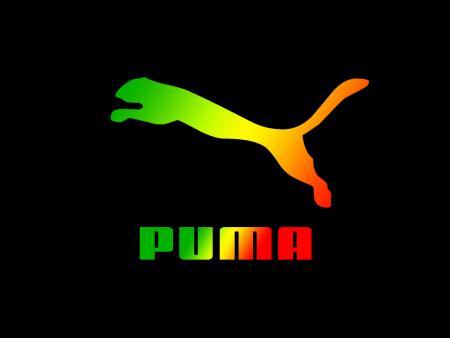 PUMA STYLE